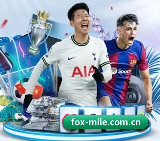 五大服务分区,信息按项目分类