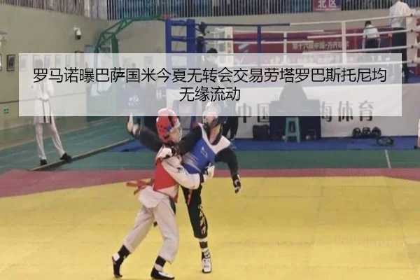 罗马诺曝巴萨国米今夏无转会交易劳塔罗巴斯托尼均无缘流动